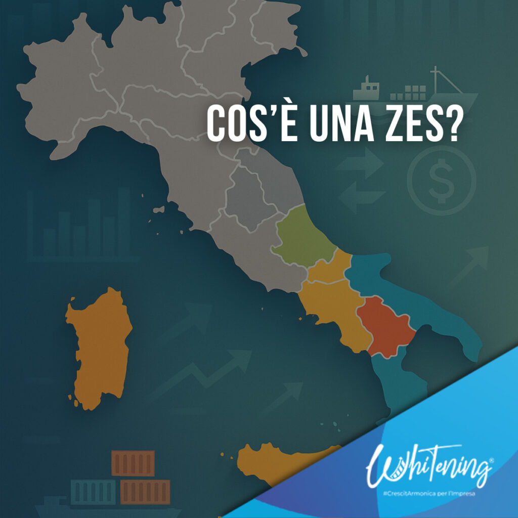 Cos'è una ZES?
