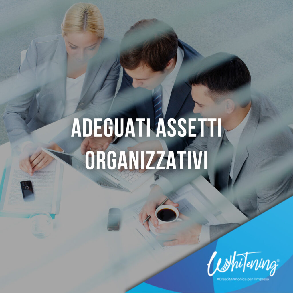 Adeguati Assetti Organizzativi