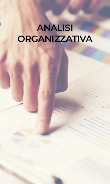 AnalisiOrganizzativaMobile