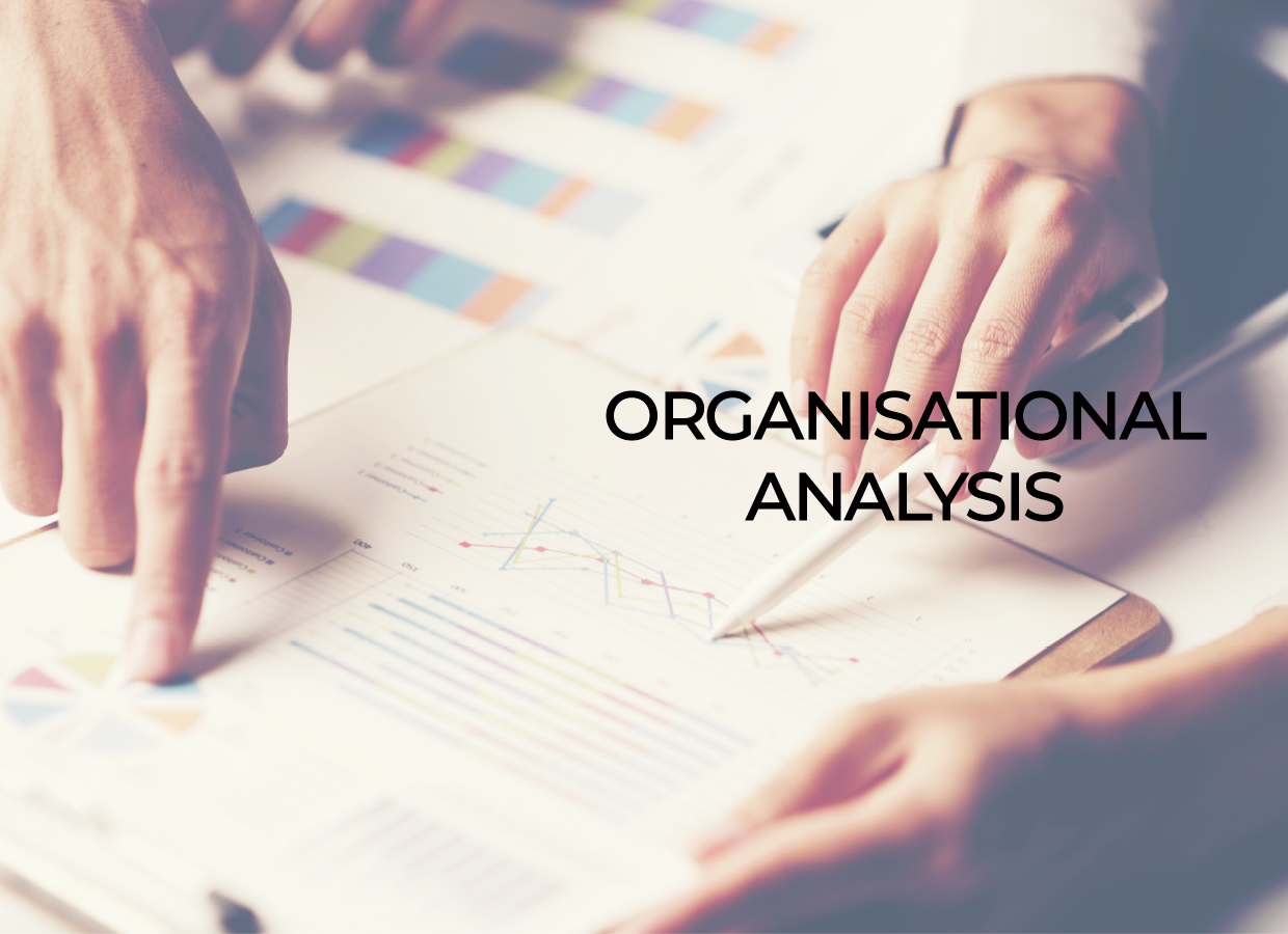 OrganisationalAnalysis