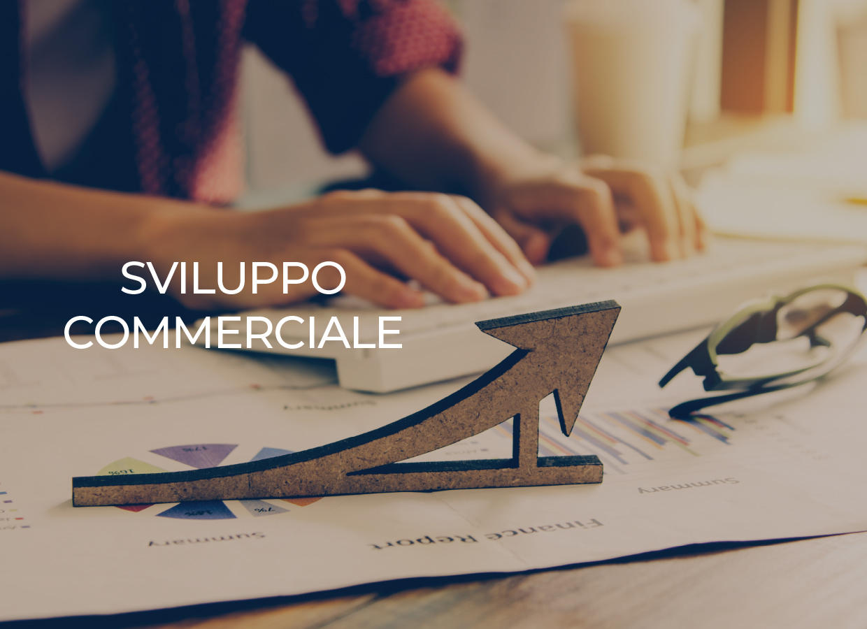 SviluppoCommerciale