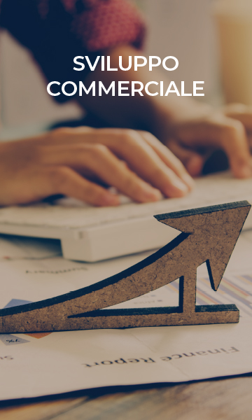 SviluppoCommercialeMobile